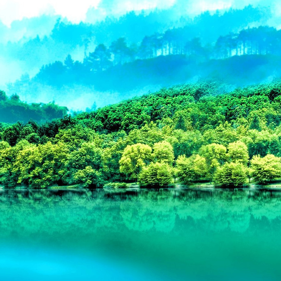 Vevox (litco.lens) Lens social identity (.lens handle) PFP