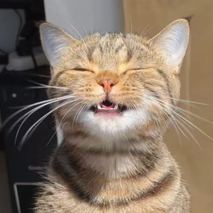 gfdsnbgdfs (yygh8.lens) Lens social identity (.lens handle) PFP