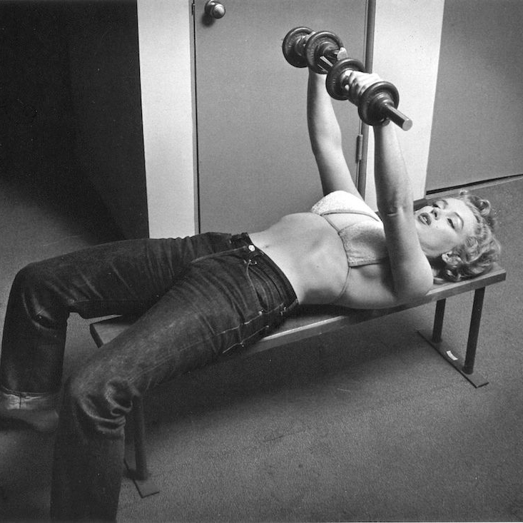 Dusk (kakadodo.lens) Lens social identity (.lens handle) PFP