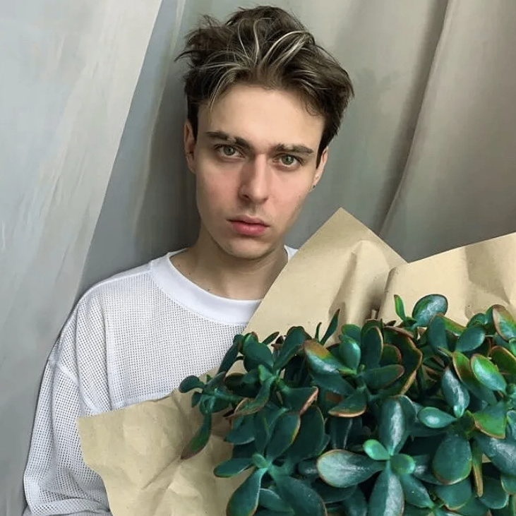 Halearchibald (halearchibald.lens) Lens social identity (.lens handle) PFP