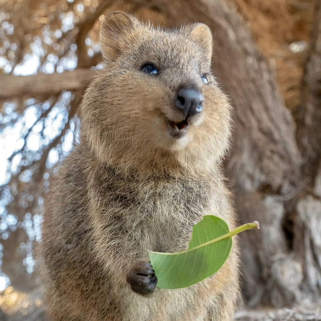 Emily Johnson (revieiw.lens) Lens social identity (.lens handle) PFP