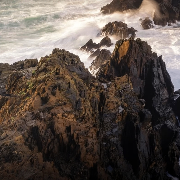 zongc (66034.lens) Lens social identity (.lens handle) PFP