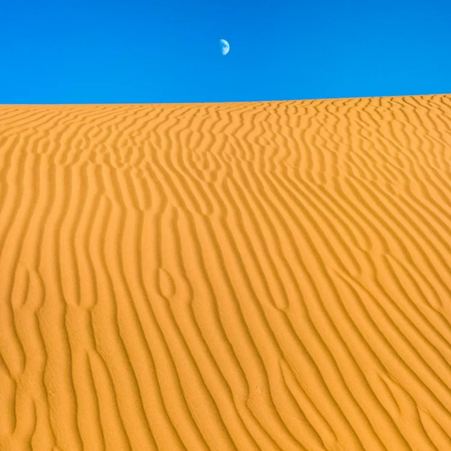 fd444 (fvgju7.lens) Lens social identity (.lens handle) PFP