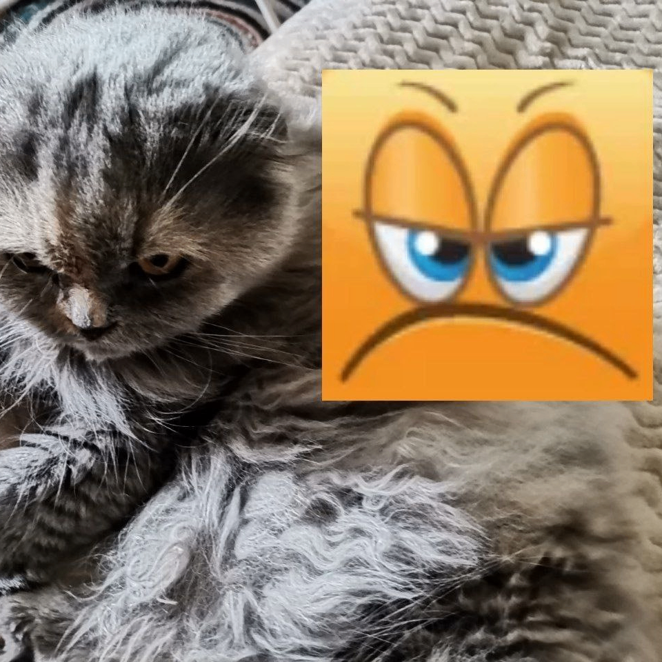 Echo (fycx88hf.lens) Lens social identity (.lens handle) PFP