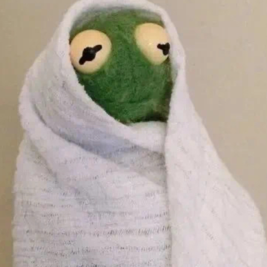 Hayden (jzjsjsjsjsusu.lens) Lens social identity (.lens handle) PFP