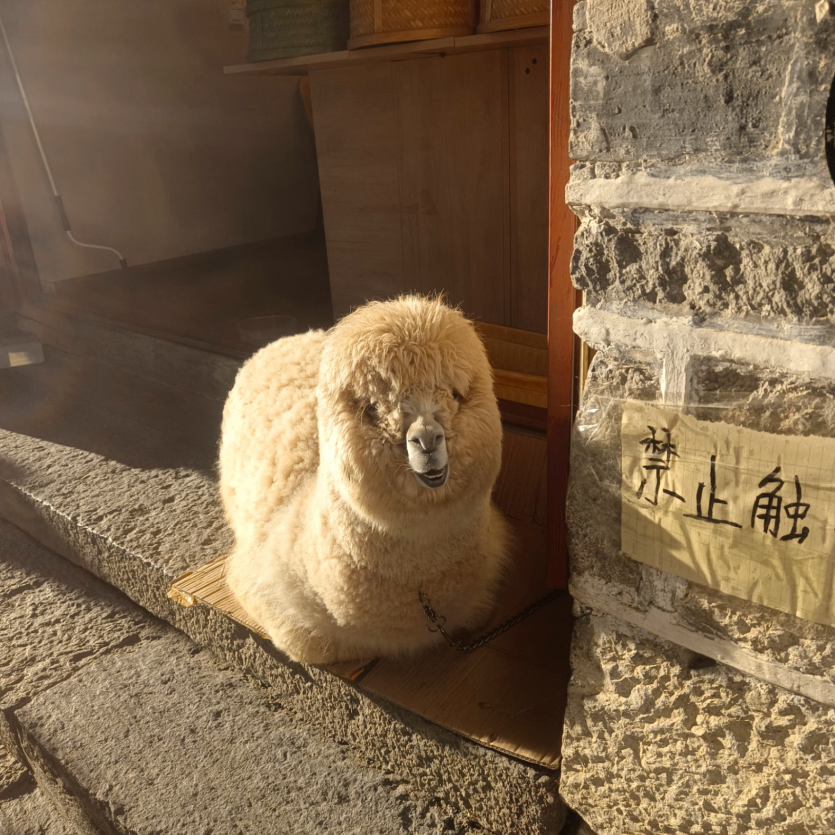 jasonugg (jasonugg.lens) Lens social identity (.lens handle) PFP