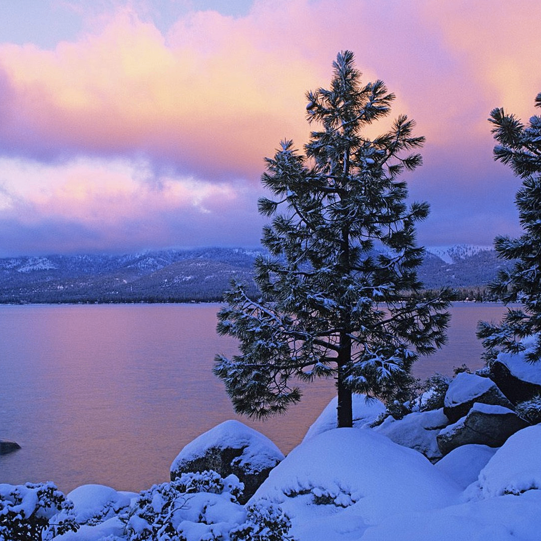 dfgf (buzzer.lens) Lens social identity (.lens handle) PFP