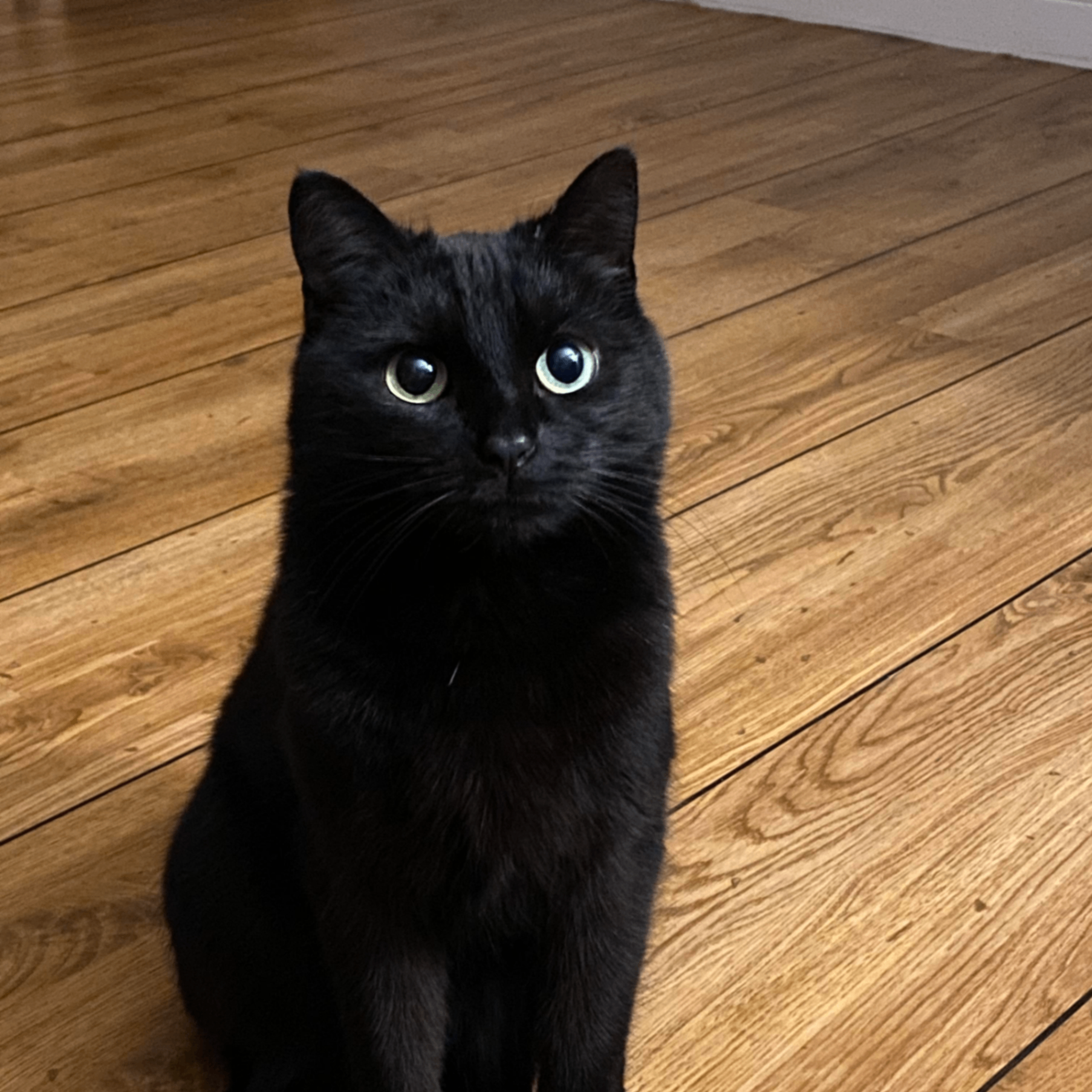 danny (dannyblack.lens) Lens social identity (.lens handle) PFP