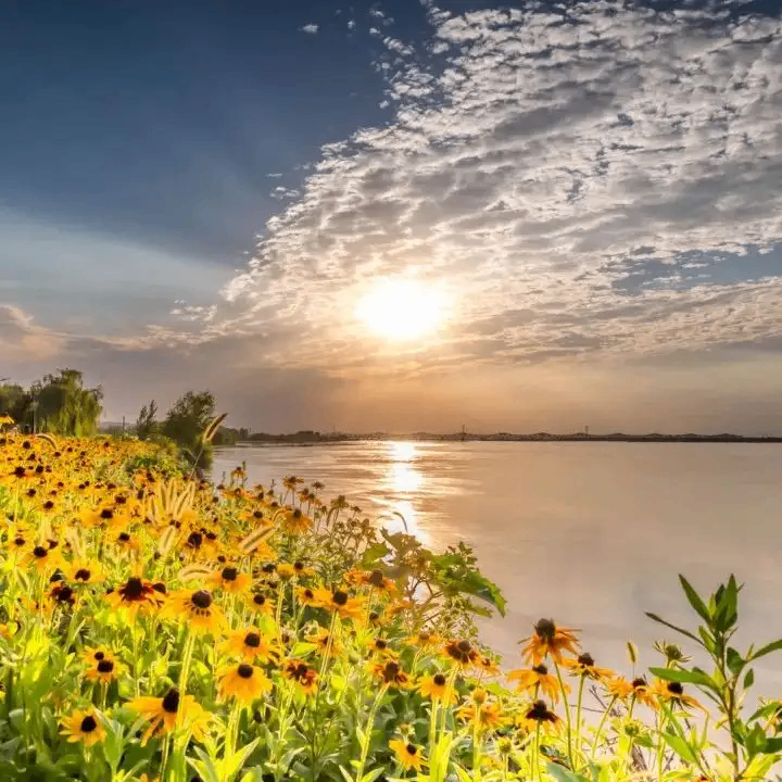 brendy (brendy.lens) Lens social identity (.lens handle) PFP