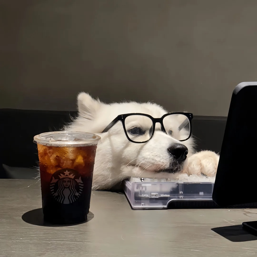 dfghj77n (hkgkg.lens) Lens social identity (.lens handle) PFP