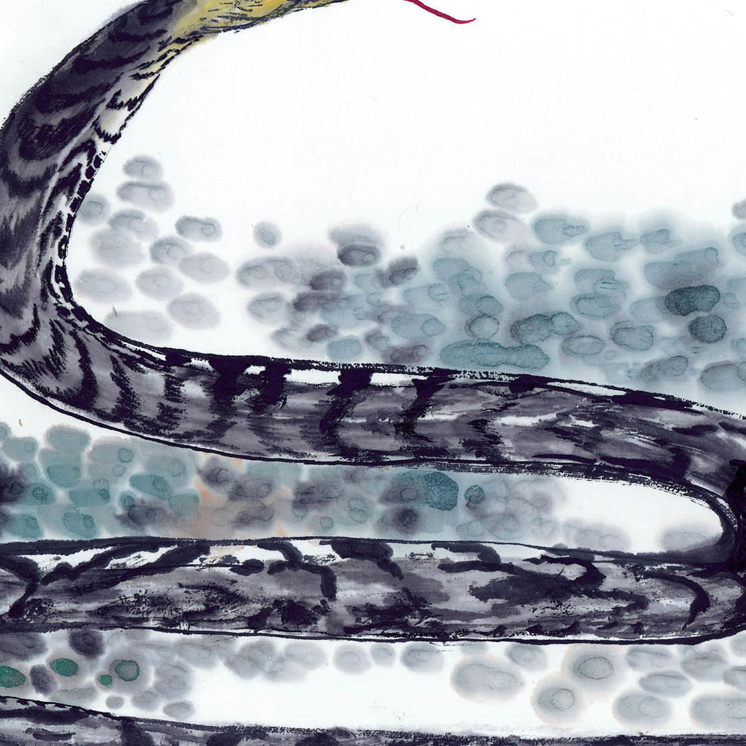 f (zoltron.lens) Lens social identity (.lens handle) PFP