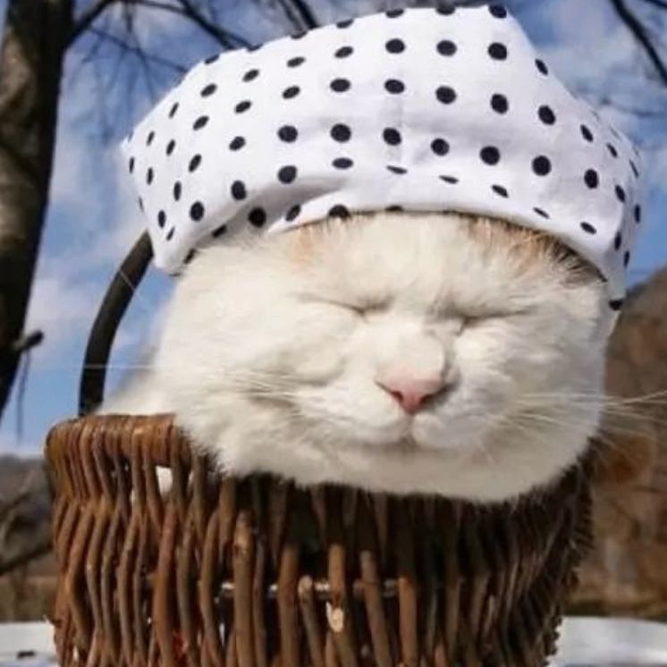 nbkbjnk (roooo.lens) Lens social identity (.lens handle) PFP