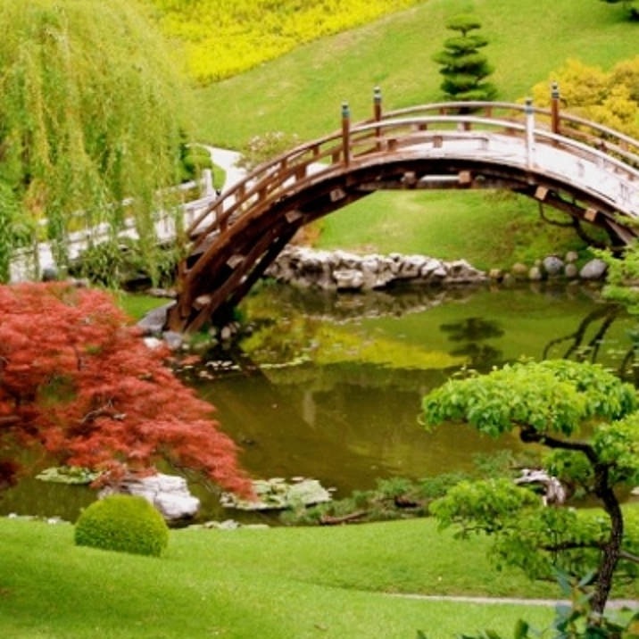 dfsfddsf (eiiii.lens) Lens social identity (.lens handle) PFP