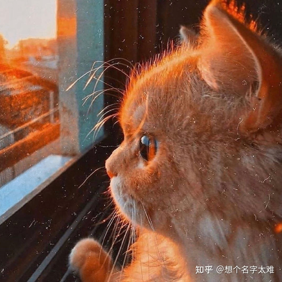 Gladys DeQuincey (fffffw.lens) Lens social identity (.lens handle) PFP