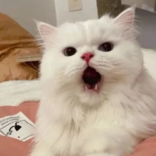 SapphireGaze (asefsd.lens) Lens social identity (.lens handle) PFP