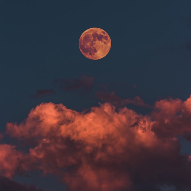 Juniper (orionaq.lens) Lens social identity (.lens handle) PFP