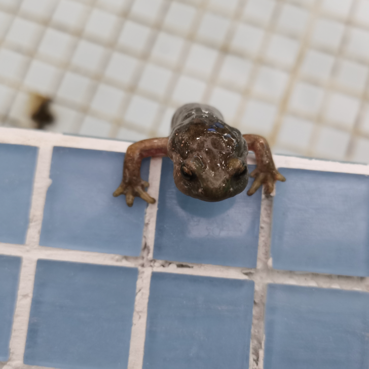 iuoiou (wyyyy.lens) Lens social identity (.lens handle) PFP