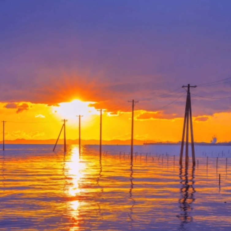 bvgvvghvg (geeeee.lens) Lens social identity (.lens handle) PFP