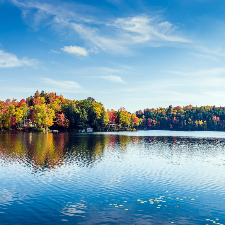 goler (cgjffh5.lens) Lens social identity (.lens handle) PFP