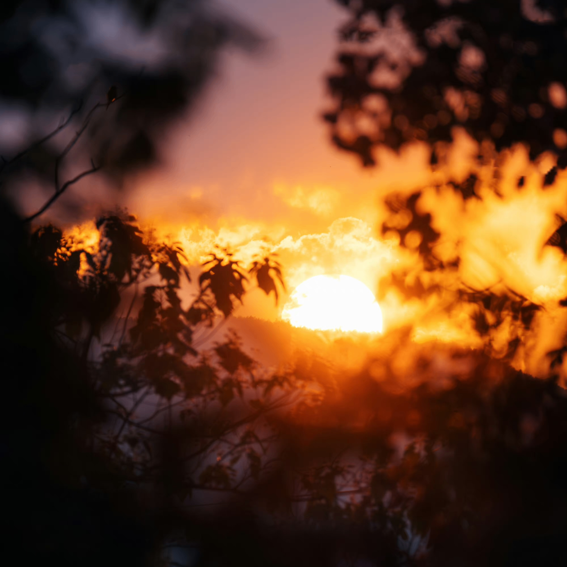 Elijah Anderson (deleter.lens) Lens social identity (.lens handle) PFP