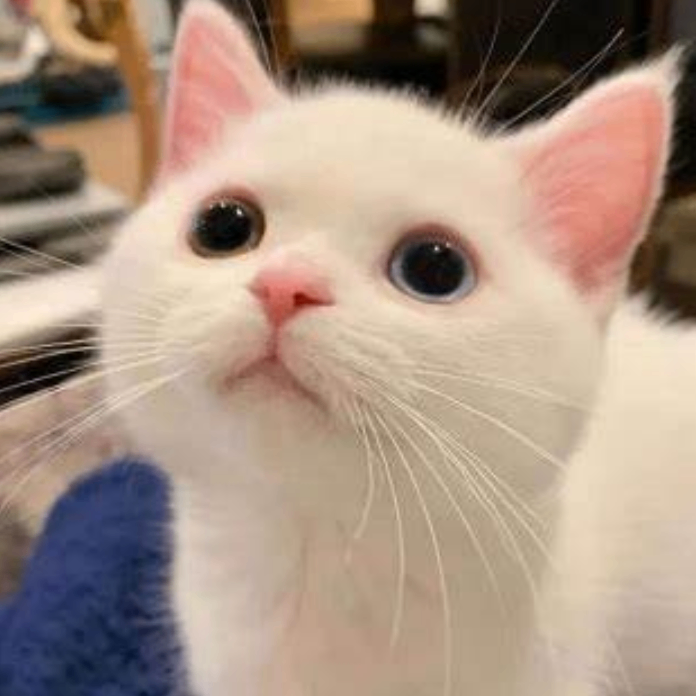 CrystalWhirl (aocuehi.lens) Lens social identity (.lens handle) PFP