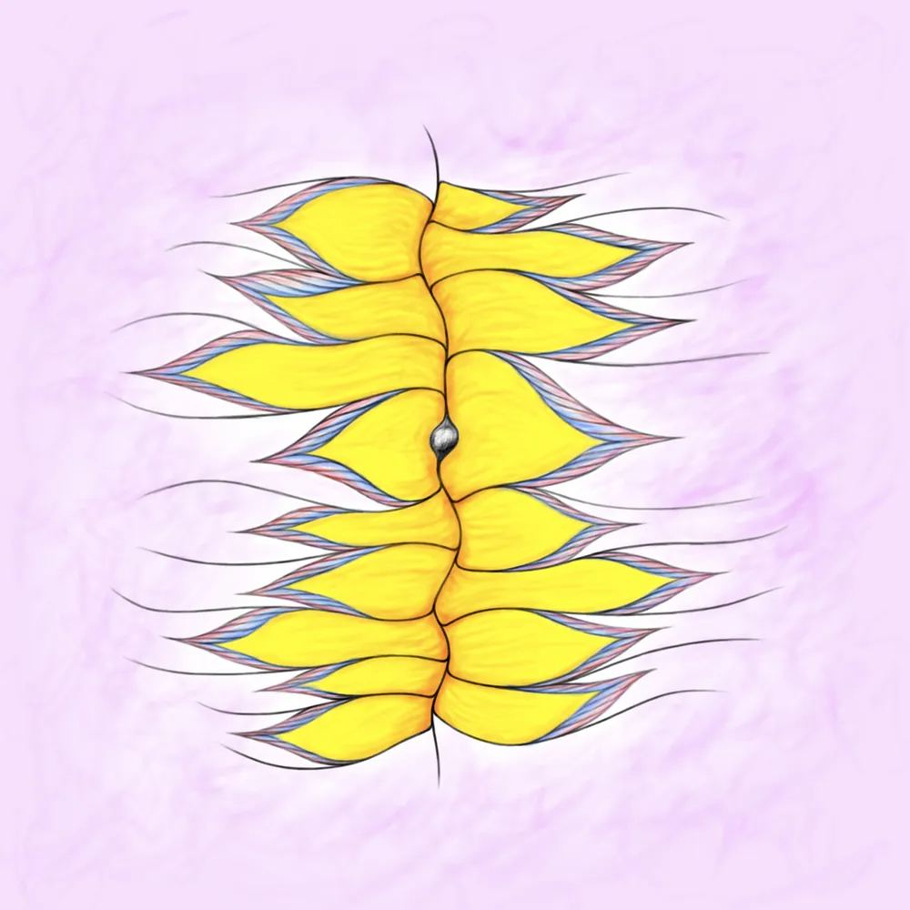 GoldenGiraffe (zounb.lens) Lens social identity (.lens handle) PFP