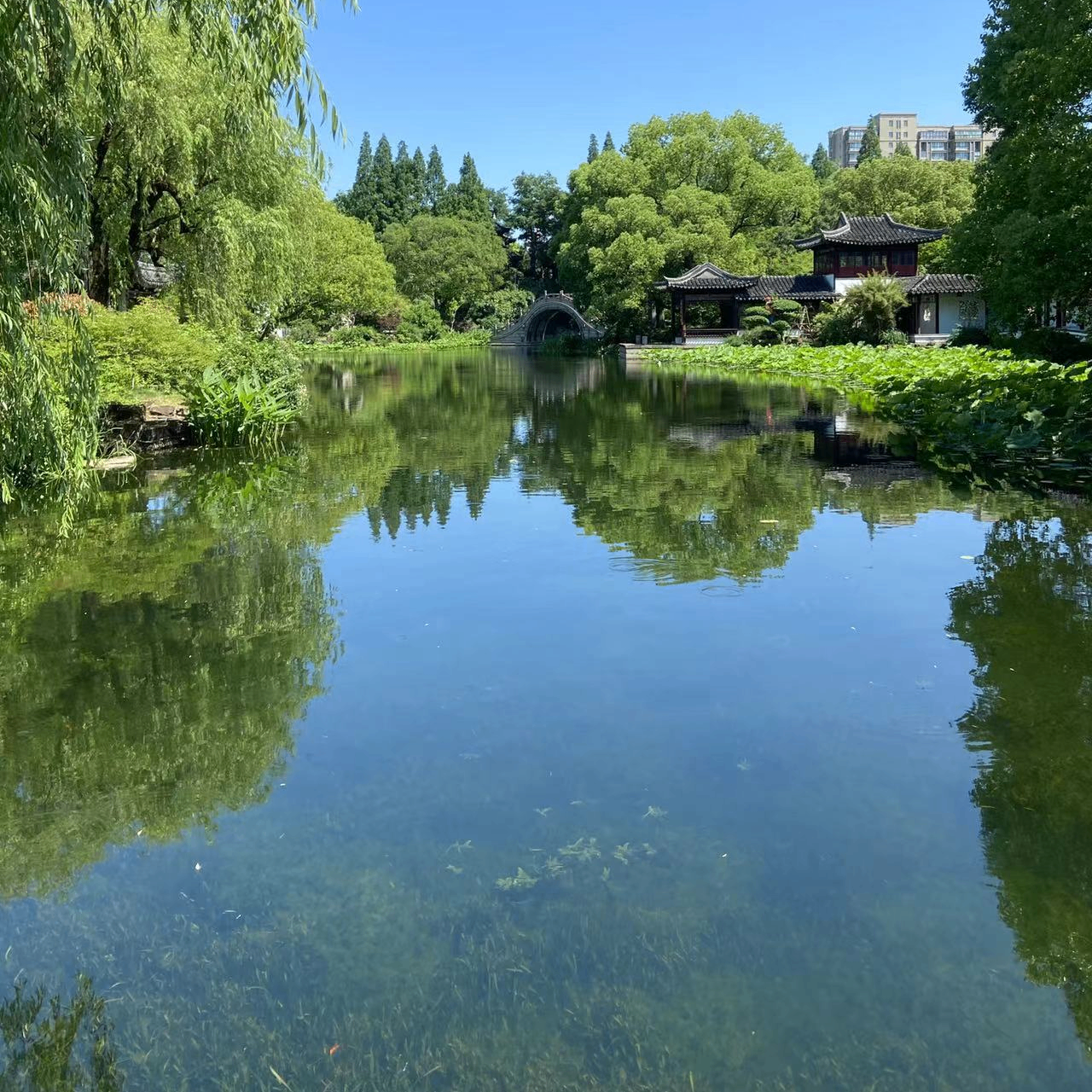 0x001133 (0x001133.lens) Lens social identity (.lens handle) PFP