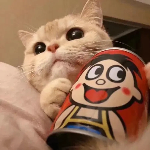 Virgil Morley (wwwwh.lens) Lens social identity (.lens handle) PFP