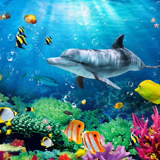 Nelson Pope (bkkkkk.lens) Lens social identity (.lens handle) PFP