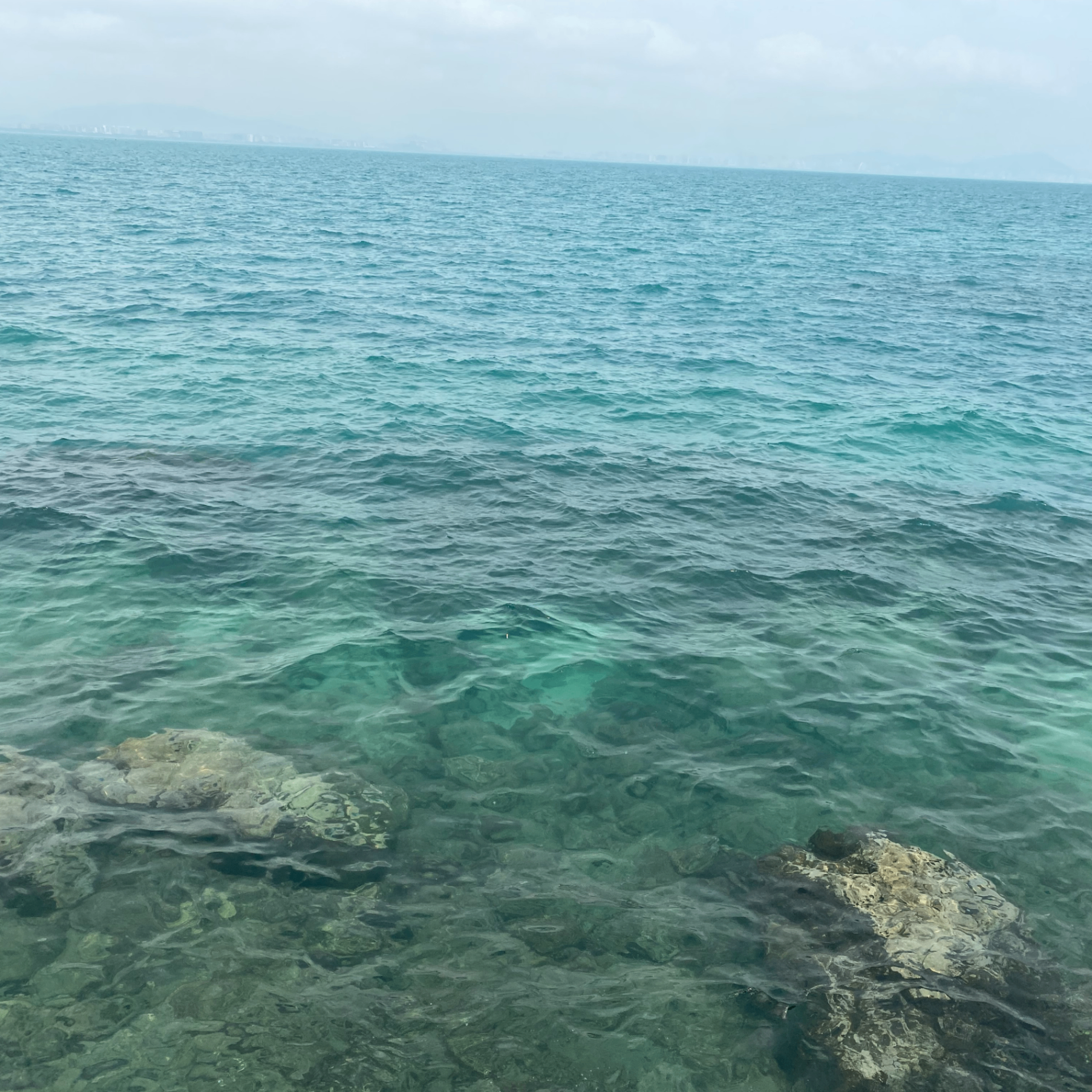 The use (ojksjsjszjo.lens) Lens social identity (.lens handle) PFP