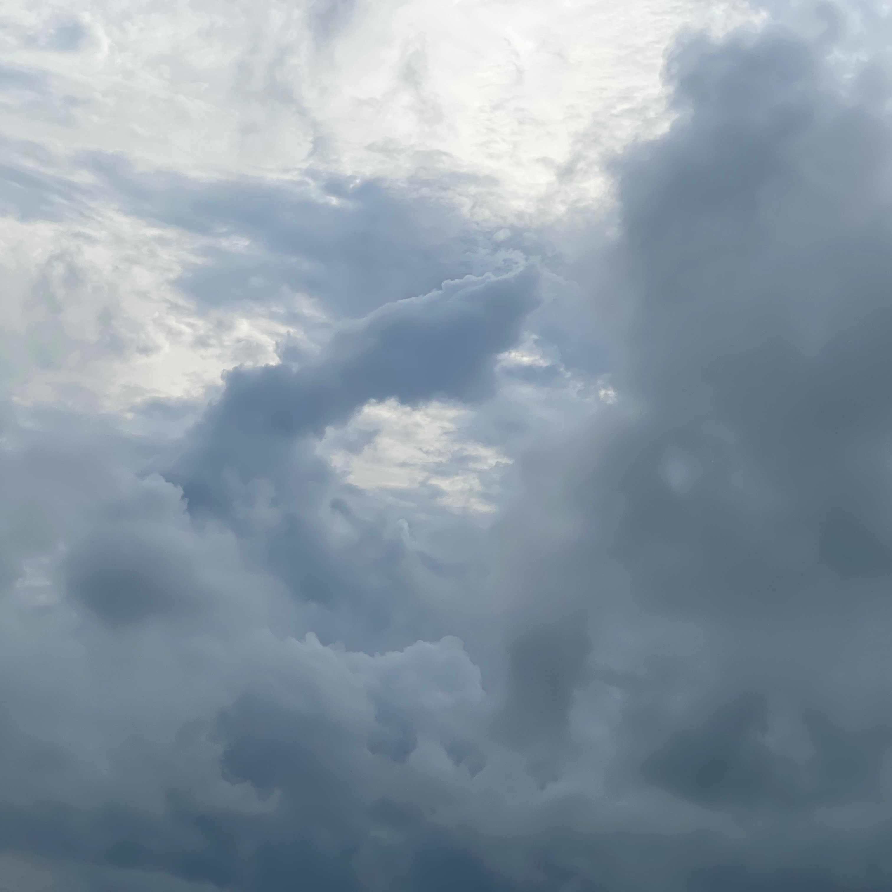 Kitama (rommance.lens) Lens social identity (.lens handle) PFP