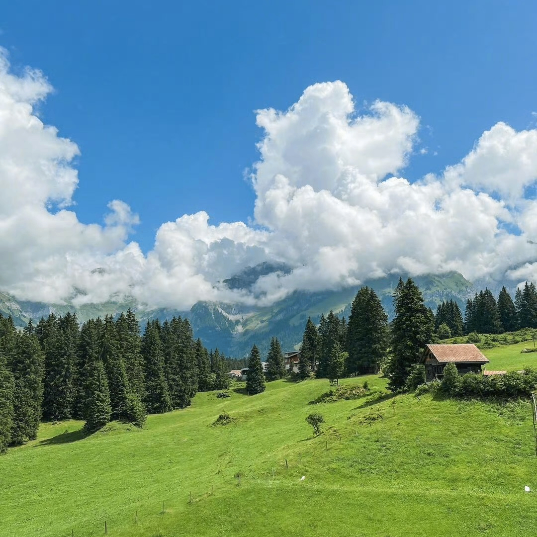 Jasper Hawke (chesese.lens) Lens social identity (.lens handle) PFP