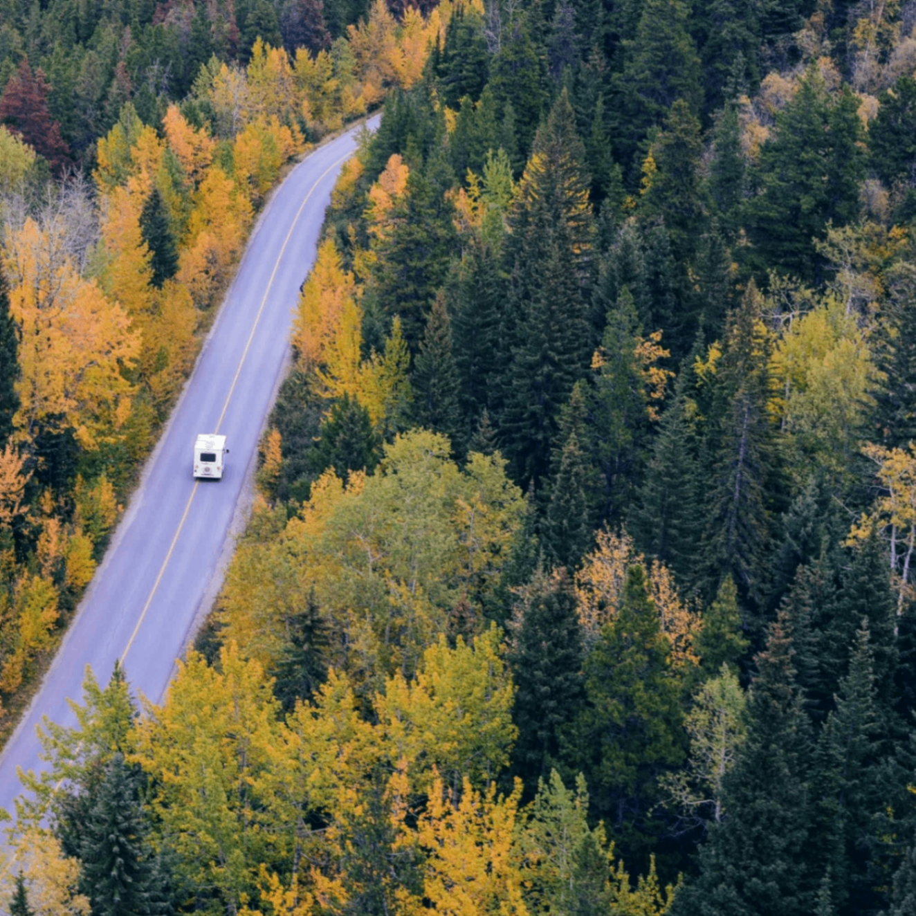 mengo (mengo.lens) Lens social identity (.lens handle) PFP