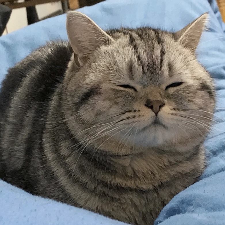 0x94915 (x94915.lens) Lens social identity (.lens handle) PFP