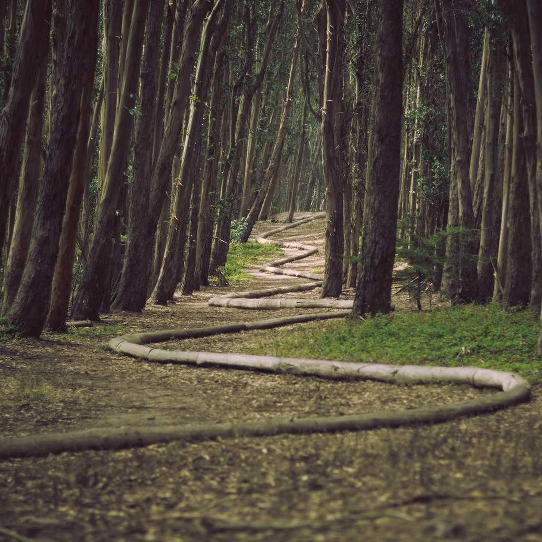 crashCrusader (gellatlys8967.lens) Lens social identity (.lens handle) PFP