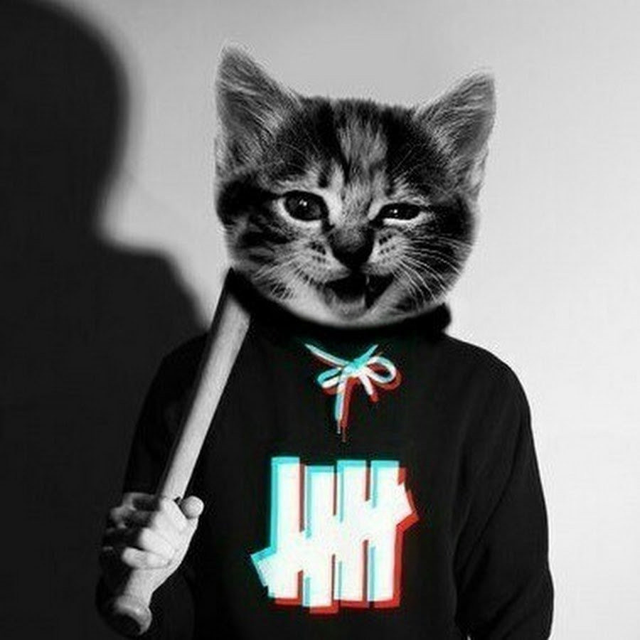 Pheri (pheri.lens) Lens social identity (.lens handle) PFP