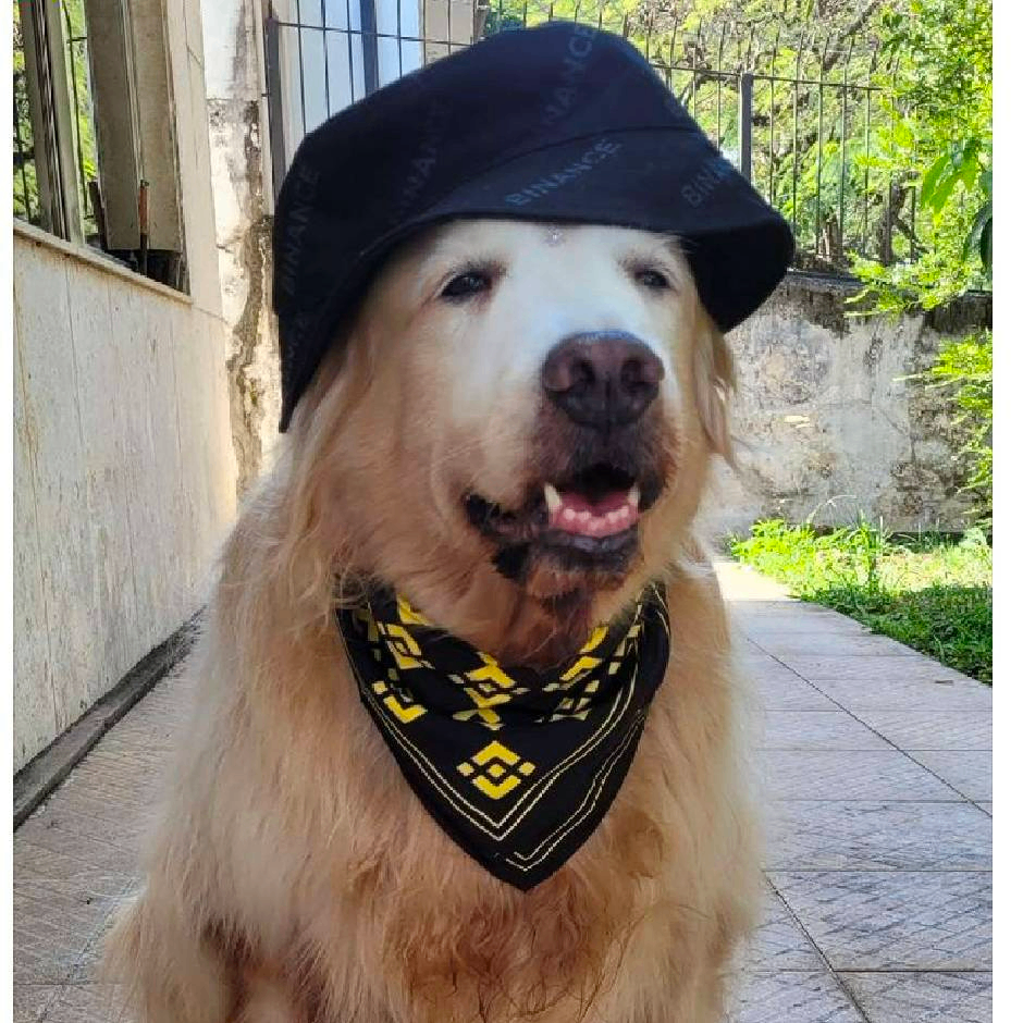 是多少啊 (bfggxc.lens) Lens social identity (.lens handle) PFP