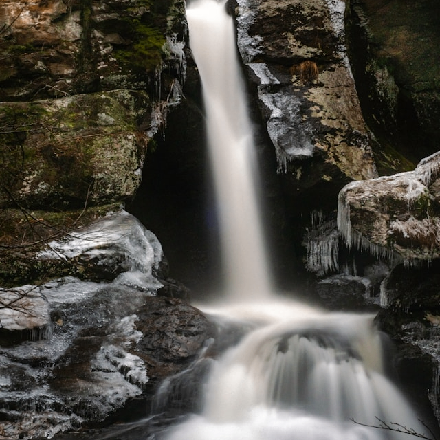 Brook (liquidjoy.lens) Lens social identity (.lens handle) PFP