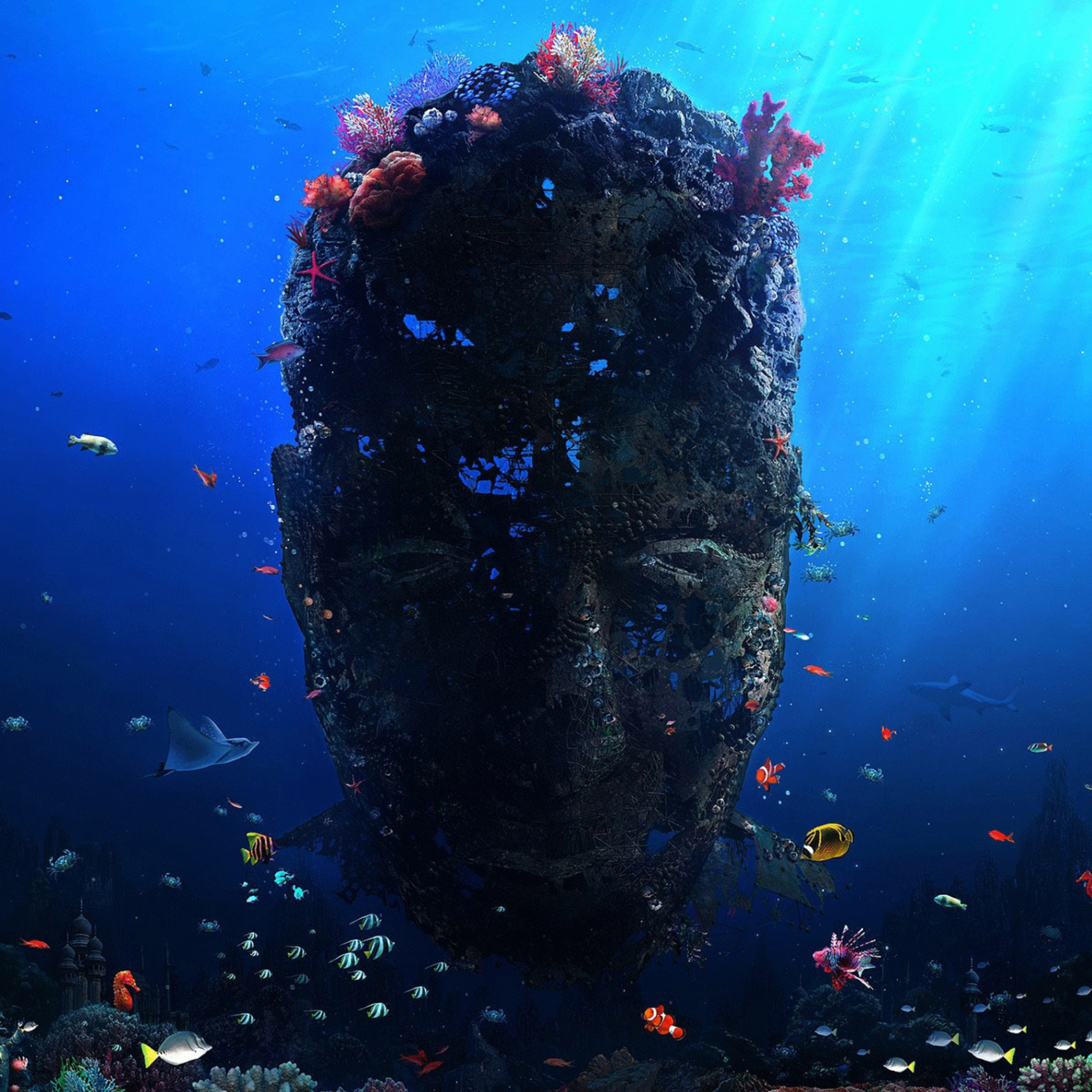 dwe (dws22.lens) Lens social identity (.lens handle) PFP