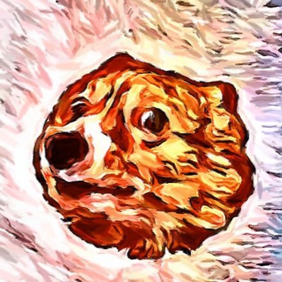 taamgnur (omgoott.lens) Lens social identity (.lens handle) PFP