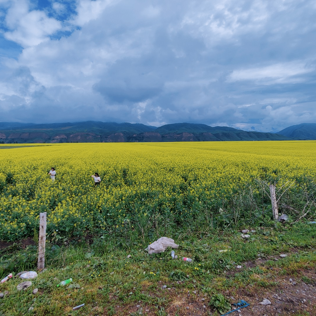 kakuuoooo (kakuuuooo.lens) Lens social identity (.lens handle) PFP