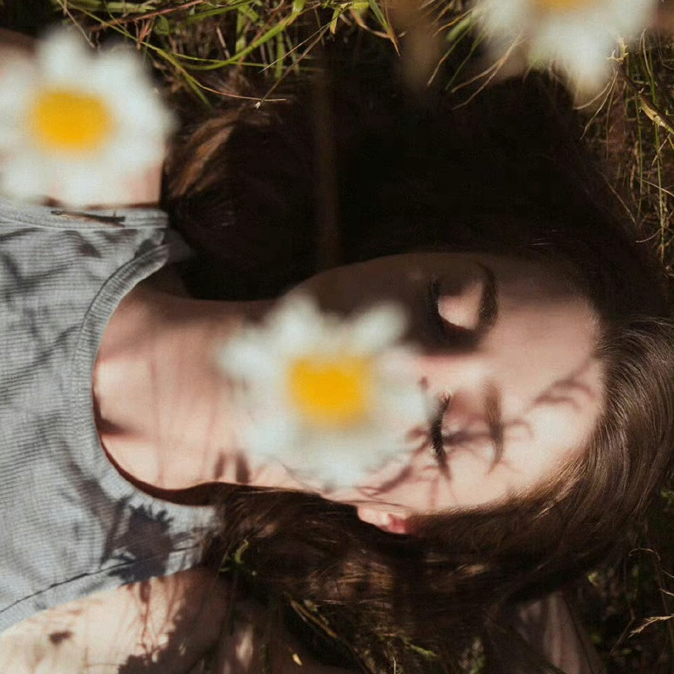 Charlotte (collecter.lens) Lens social identity (.lens handle) PFP