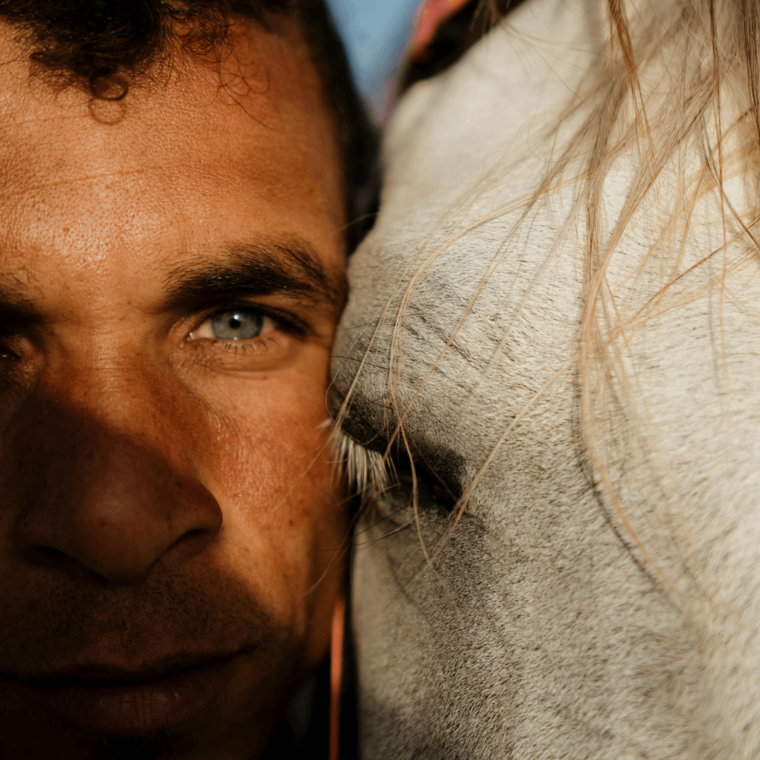 phasa (phasa.lens) Lens social identity (.lens handle) PFP