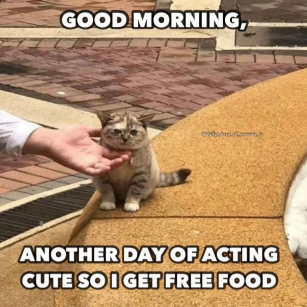 fres (ptthanh98.lens) Lens social identity (.lens handle) PFP