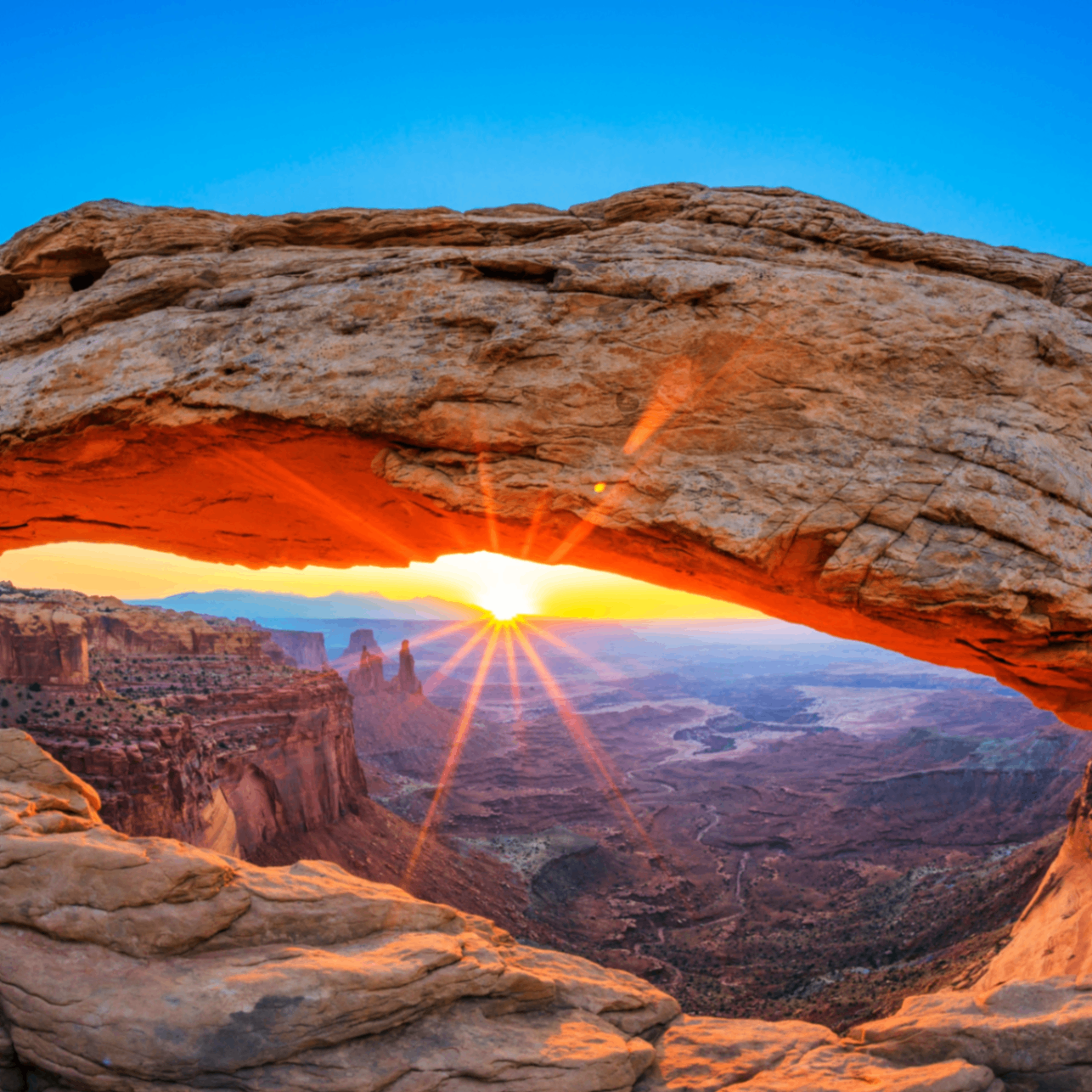 Brook (79906.lens) Lens social identity (.lens handle) PFP