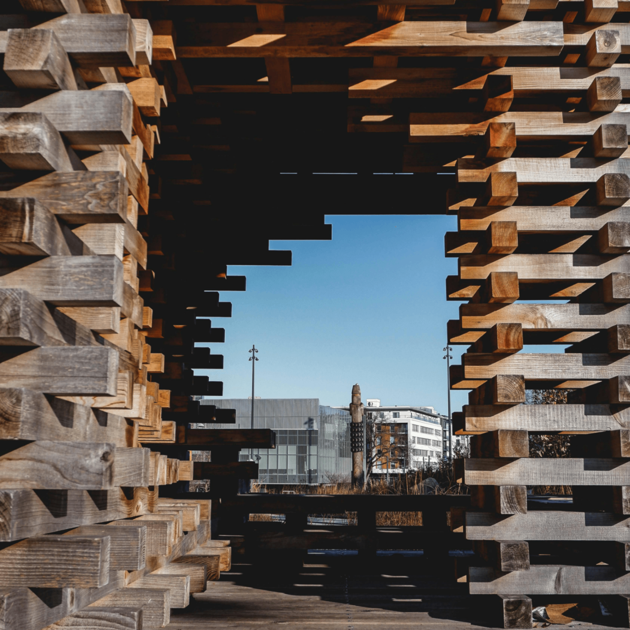 Einst (einst.lens) Lens social identity (.lens handle) PFP