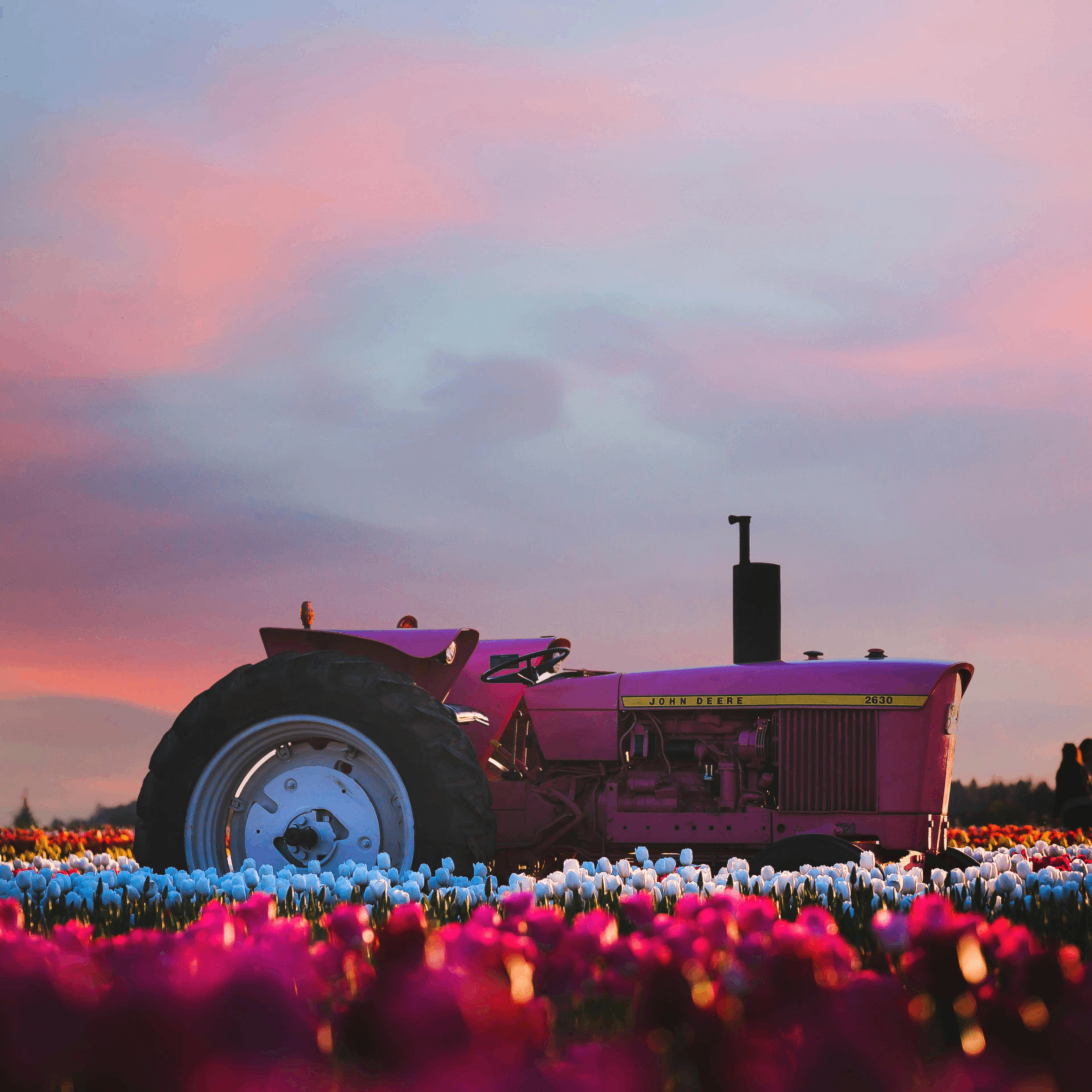 Emcat (emcat.lens) Lens social identity (.lens handle) PFP