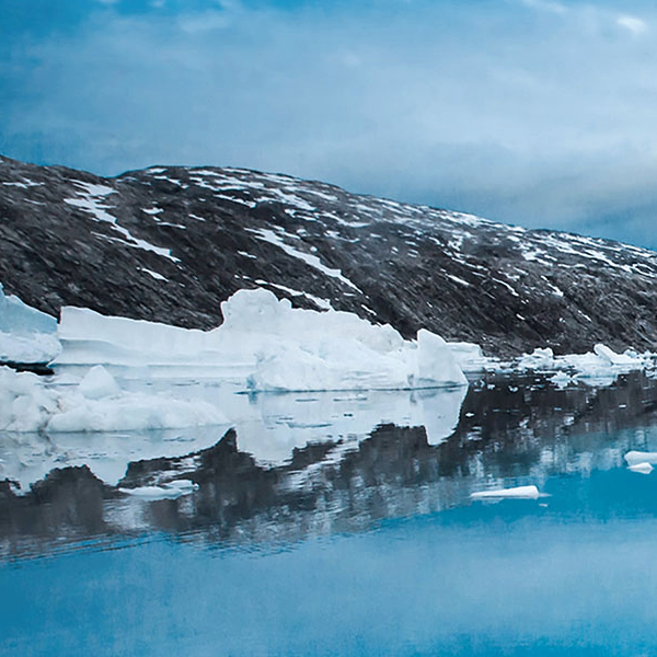 Sin Smith (digitalicors.lens) Lens social identity (.lens handle) PFP