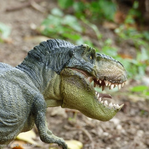 Clare Maxwell (nnnnna.lens) Lens social identity (.lens handle) PFP