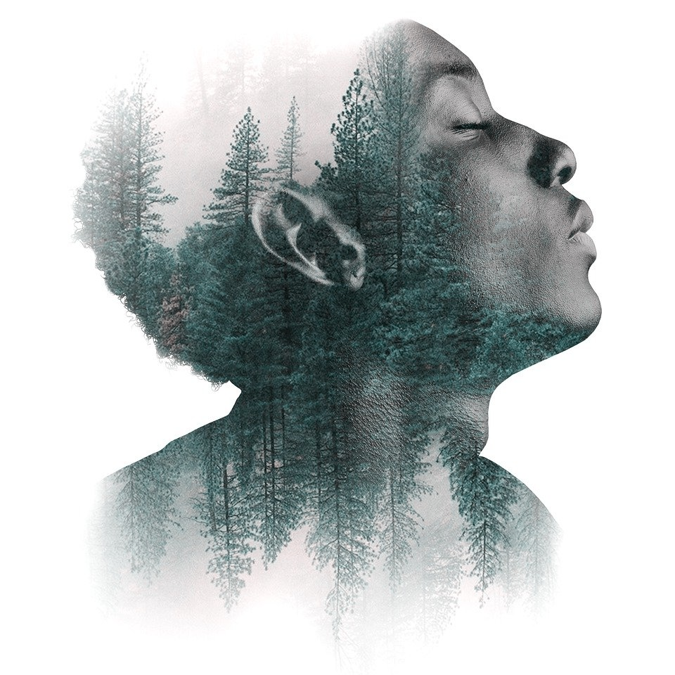 Autum (autum.lens) Lens social identity (.lens handle) PFP